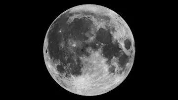 Full Moon at Miller Woods