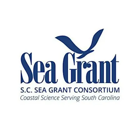 Volunteer Service Project - SC Sea Grant Consortium: Beach Sweep