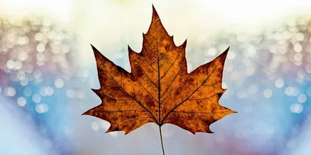 LCMS Canadian Music Festival