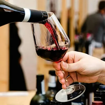 Barolo Wine Tasting - La Griglia