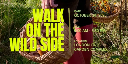 Walk on the Wild Side