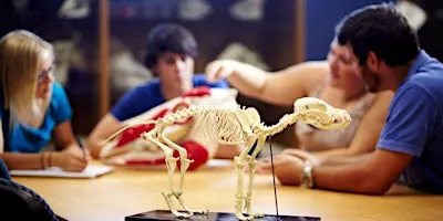 Veterinary Research Day 2026