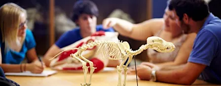 Veterinary Research Day 2026