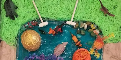 Sensory Magic with Ebony