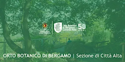 PIANTE DEGLI AMBIENTI UMIDI