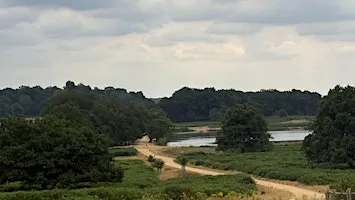 Sunday walk-Richmond Park, The White Lodge and Victoria Riverside