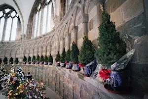Book a Dedication Tree - Worcester Cathedral Christmas Tree Festival 2026