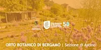 LA MAGIA DEL COMPOST: COME CREARE FERTILITA' DAI TUOI SCARTI