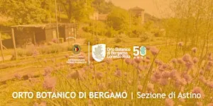 LA MAGIA DEL COMPOST: COME CREARE FERTILITA' DAI TUOI SCARTI