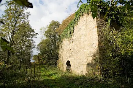 Craighall Woodland Wander