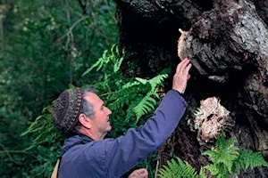 The Nature of Seeing - with author Mark Cocker