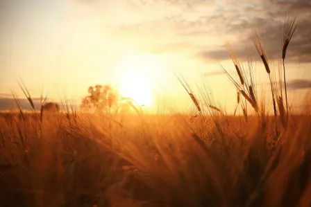 Sunrise Sessions: Practicing Progress Over Perfection