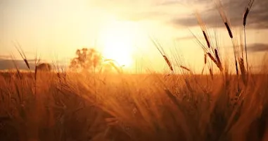 Sunrise Sessions: Practicing Progress Over Perfection