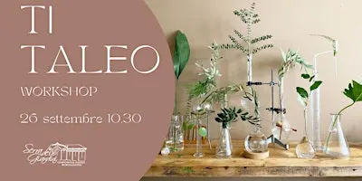 Ti Taleo