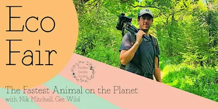 Sunken Garden Eco Fair:The Fastest Animal on the Planet with Nik Mitchell