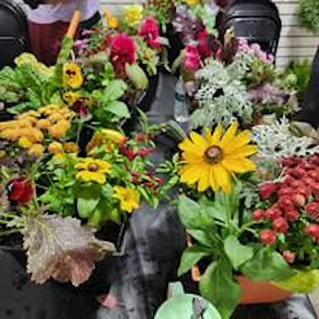 Fall Porch Pot Workshop