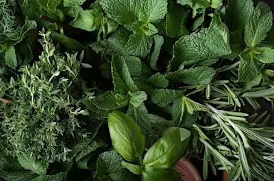 Herbal Delights Series