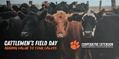 Cattlemen’s Field Day: Adding Value to Your Calves