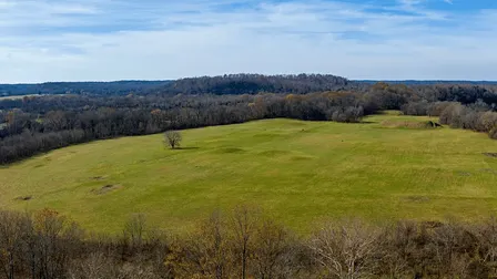 Mound Bottom Guided Hike