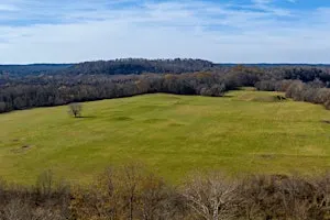 Mound Bottom Guided Hike