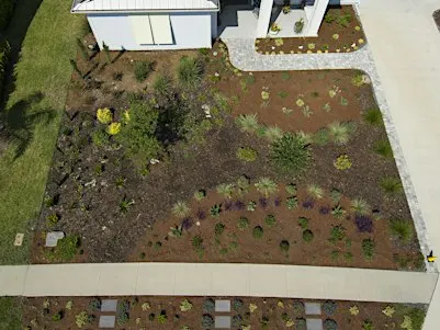 Florida-Friendly Landscaping™ Certified Professional (FFLCP) Field Module