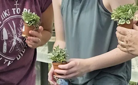 Creative Greenhouse Workshop for Special Needs Adults