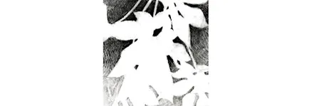 LET'S GET POSITIVE WITH NEGATIVE DRAWING:Saturday, November 7, 1:00-4:00pm