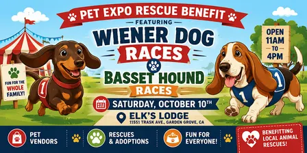Wiener Dog Races & Basset Hound Races | Rescue Benefit + Pet Expo