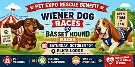 Wiener Dog Races & Basset Hound Races | Rescue Benefit + Pet Expo