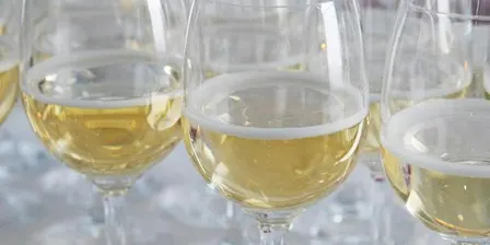 Brisbane Sparkling Masterclass