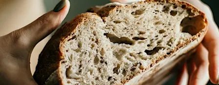 Sourdough 101 Workshop – From starter to slice