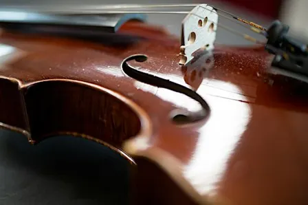 Viola-Abend
