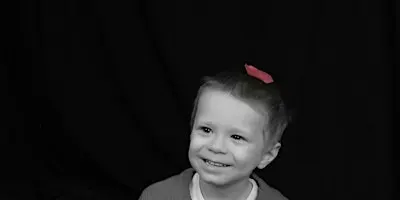 The Anthony Poselovich Memorial Foundation Silent Auction and Raffle