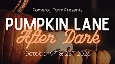 Pumpkin Lane After Dark