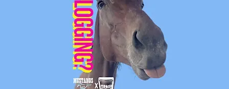 Trash People of McKinley Park x Mustangs Run Club: PLOGGING!