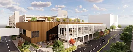 Downtown Champion: Central Library Project