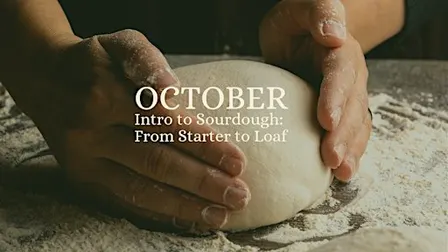 Intro to Sourdough: From Starter to Loaf