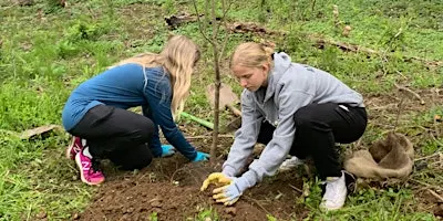 FOPOS Land Stewardship Weekday Volunteer Session // Wednesday, October 14th