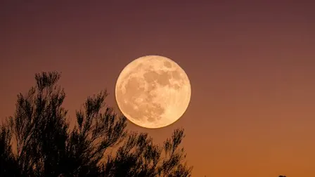 Full Moon: Cacao Ceremony