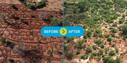 Nature+ Film Premiere: Restoring Landscapes, Strengthening Communities
