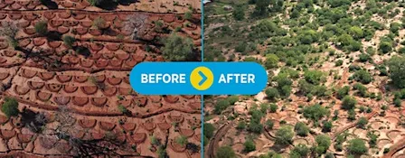 Nature+ Film Premiere: Restoring Landscapes, Strengthening Communities