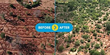 Nature+ Film Premiere: Restoring Landscapes, Strengthening Communities