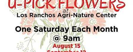 U-Pick Flowers @ Agri-Nature Center
