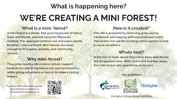 Little Forest Clarington