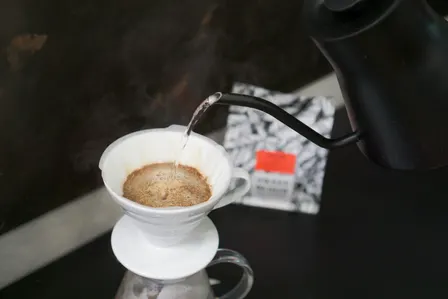 V-60 Brewer Exploration