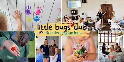 Little Bugs Learning Lab