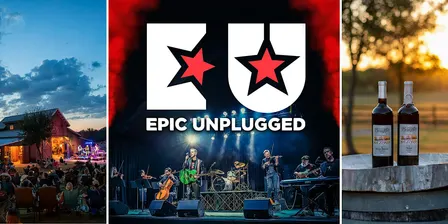 Iconic Rock Hits by Epic Unplugged | String Quartet | Texas Wine | Anna, TX