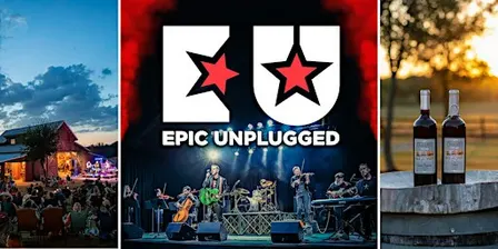 Iconic Rock Hits by Epic Unplugged | String Quartet | Texas Wine | Anna, TX