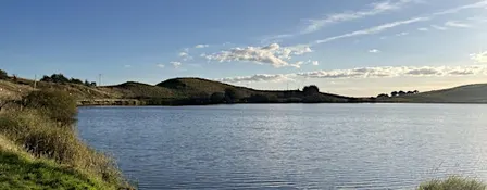 Pre-Yom Kippur Wild Mikveh