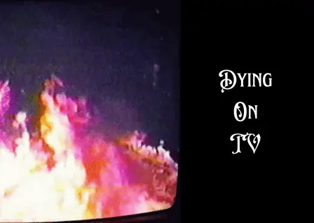 Dying on TV LIVE!: Shaymin, Rykener, The Undead Cat and IJ